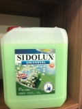 SIDOLUX 5 - lily